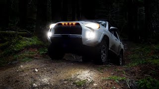 Lasfit Switchback Fog Bulbs Test and Review