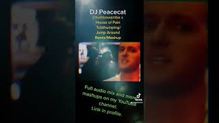 Preview - St. Patrick’s Day Mini Mashup - Chumbawamba x House of Pain - Tubthumping/Jump Around
