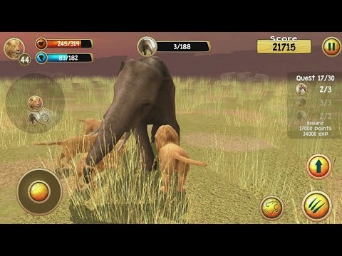 Wild Lion Simulator 3D Android Gameplay #7 - YouTube
