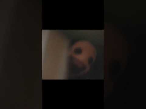 Hello Elder Mimic #horror #vitacarnis #memes #markiplier