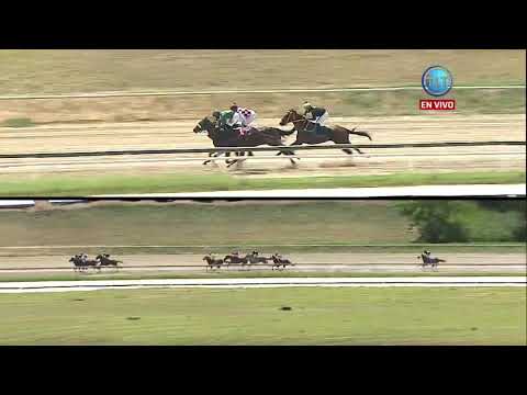 3ª Carrera | "JOSE ENRIQUE" | 8 de agosto | Reunión 31 | La Rinconada | #CLUBHIPICOxTLT