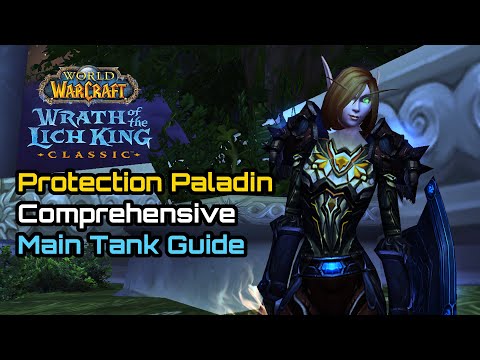 The Tankadin - World of Warcraft: Wrath of the Lich King Classic - Protection Paladin Maintank Guide