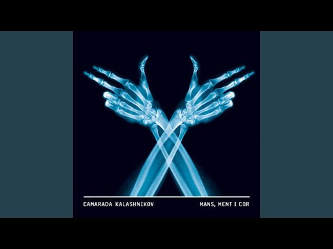 Reflexió Bolivariana