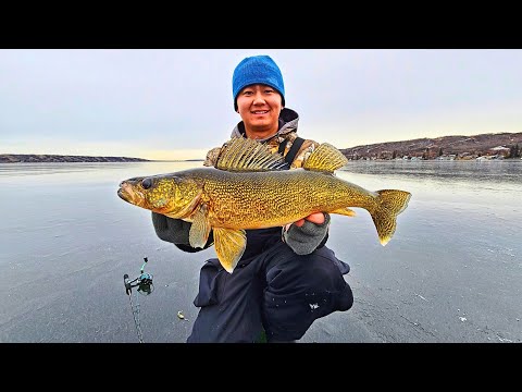 Early Ice Fishing Walleyes on GLASS (Underwater Camera Footage)