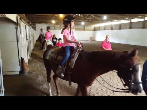 Girl Falling Off of a Horse At Beginners Lessons - Epic Fail