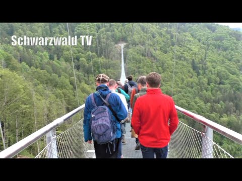 🎼🎤 Blackforestline Todtnau - Hommage an Karat - Über diese Brücke musst Du geh'n