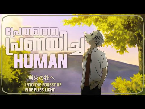 INTO THE FOREST OF FIREFLIES LIGHT MALAYALAM REVIEW | ANIME SHORT REVIEW | CINEMATE MALAYALAM