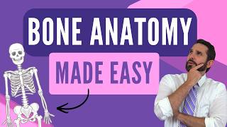Bones Made Easy: Anatomy of Bones of the Body (with Memory Tricks) Com