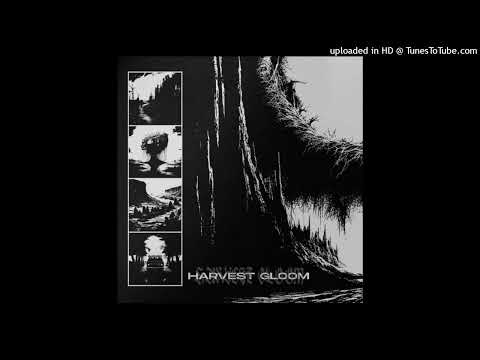 [FREE] WITCHOUSE 40K x Saliva Grey x REDZED  Type Beat - "Skull Crack"