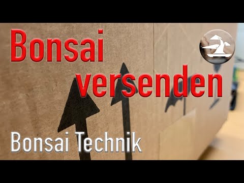 Wer eine Reise tut, kann was erzählen! Wie man einen Bonsai gut und sicher versendet!