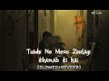 Tumhi Ne Meri Zindagi Kharab Ki Hai L SLOWED REVERB SK Lofi Naseeb Kumarsanu