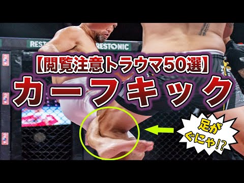 格闘技ファンが唸るカーフキックKO集50選