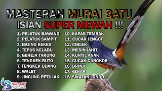Download lagu JUARANYA MASTERAN ‼️ MASTERAN MURAI BATU ISIAN SUPER MEWAH mp3 Download lagu JUARANYA MASTERAN ‼️ MASTERAN MURAI BATU ISIAN SUPER MEWAH mp3