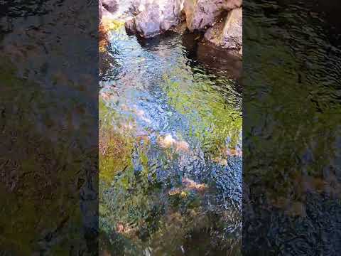 Nacimiento que tira abundante agua en Concepción Batres, Usulután