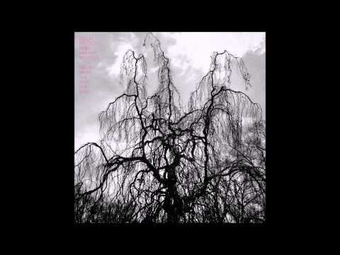 Colin Stetson and Sarah Neufeld - Never Were the Way She Was