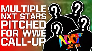 Multiple NXT Stars Pitched For WWE Call-Up | Major Raw Star Announced For SmackDown Tomorrow