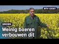Heeft boer Steven het nieuwe goud in handen met zijn koolzaad? | RTV Oost