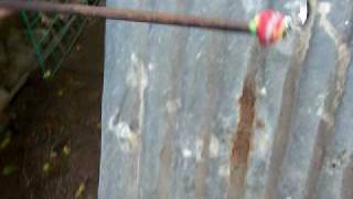 August Moon Knife Ultimate Test