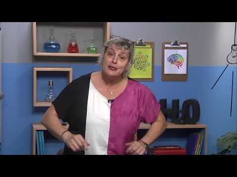 Como medir? | Rioeduca na TV – 1º Ano