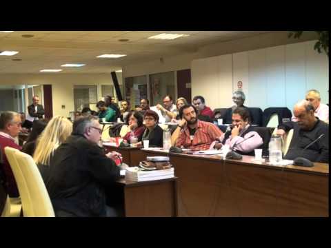 Δημ. Συμβούλιο 21-11-14 Δίκτυο Πολιτισμού 