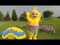 Teletubbies Laa Laa Wears Funny Underpants Official Classic Full Episode