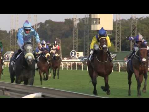 THE ABRIDGED VERSION OF CLASIC DAY AT TURFFONTEIN