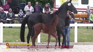 80.000€ pour un foal par Floriscount