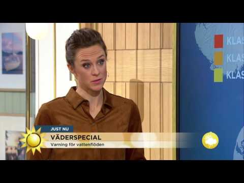 Väderspecial: Varning för vattenflöden - Nyhetsmorgon (TV4)