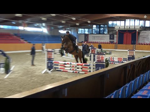 Sir Legend, Mecklenburger Hengst v. Sergeant Pepper - Landboy * 2019, gekört