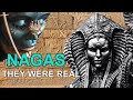 Naga Gods of Ancient India: There Is FAR More To This Story Than We've Been Told