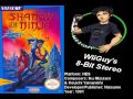 OLD MIX Shadow Of The Ninja NES Soundtrack 8BitStereo