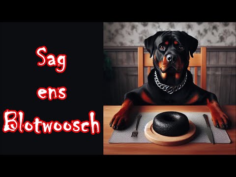 Sag ens Blotwoosch - Karnevalslied/Carnival Song + English translation