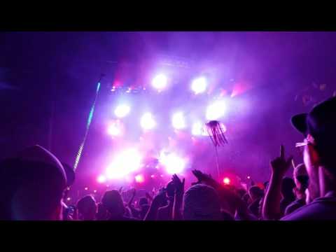 Phish '2001' at LOCKN' 2016