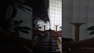 La Vita È Bella (Beautiful That Way) - Nicola Piovani