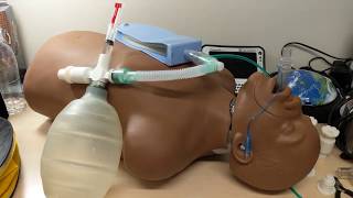 3D VapoJET anesthesia system／３Dプリントも可能な 簡易吸入麻酔器モデル『3Dプリント嗅ぎ注射器』