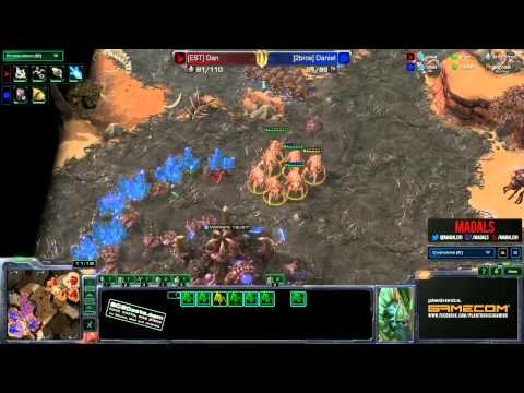 Starbow   Dan vs Daniel   PvZ