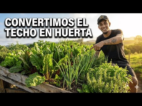 This roof produces food and oxygen (productive living roof in guadua bamboo)