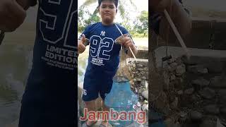 Download lagu 5th Eid 2026 Saving Drowning Fish. #fishing #fish #Eid #spot #spotlight mp3 Download lagu 5th Eid 2026 Saving Drowning Fish. #fishing #fish #Eid #spot #spotlight mp3