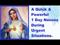 QUICK AND POWERFUL NOVENA ON URGENT SITUATIONS - One Day Novena