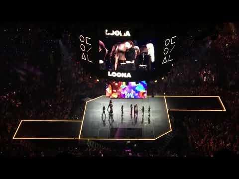 vlog 17 - cosmo&wanda see loona