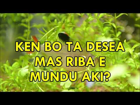 Dios No Ta Trata Manera Hende/Un momentu di deboshon ku Dios/19-09-2018