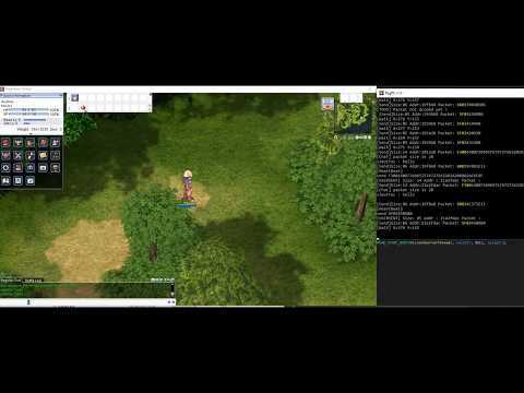 Ragnarok Online Packet Editor (console mode)