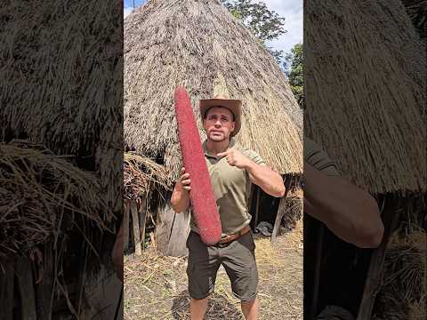 Marita Fruit 🔴🌿 #traditional #papua #food #dani #tribe