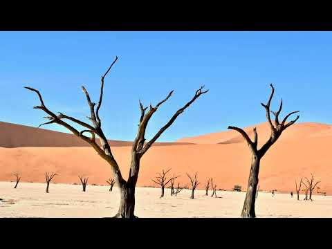 Wanitwa Mos, Lowsheen - Hamba ft Mashudu