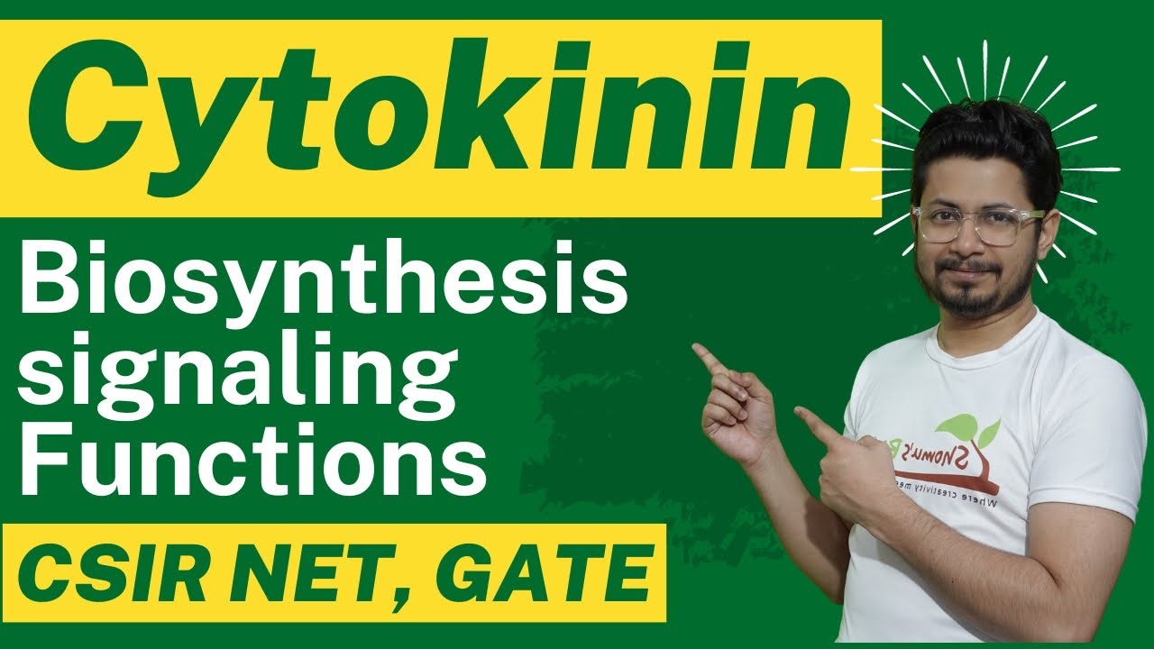 Cytokinin hormone biosynthesis and cytokinin function