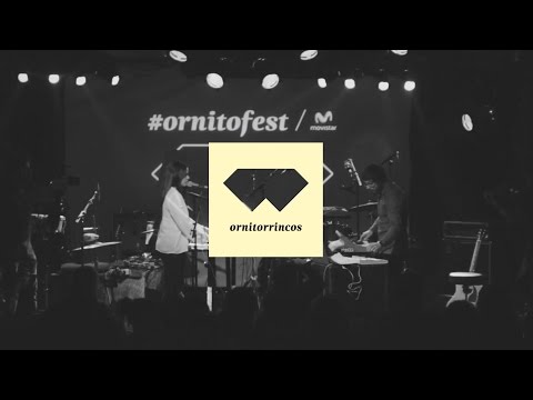 Mitad Raül Fernández Refree Mitad Rosalía #ornitofest 2015