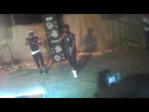 Mylmo junior and Mister pép