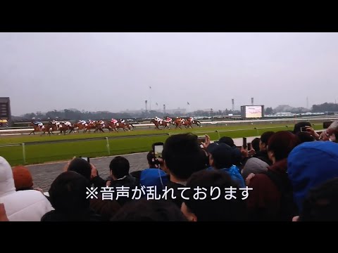 2018. 12.23 有馬記念 中山競馬場