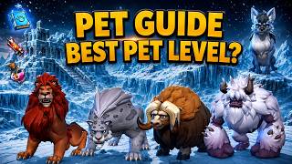 PETLERİ KAÇ SEVİYE YAPMALIYIZ ? - PET REHBERİ -  WHİTEOUT SURVİVAL