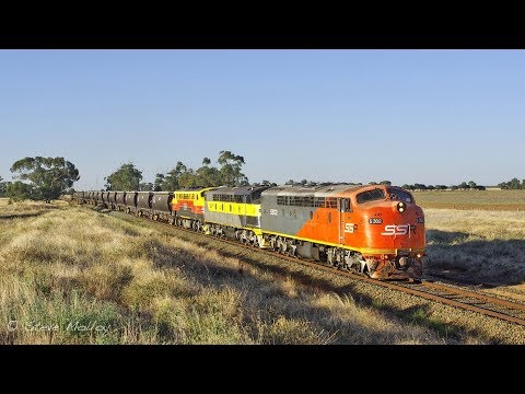 Grain Train with 3 Cab Units DownUnder.
